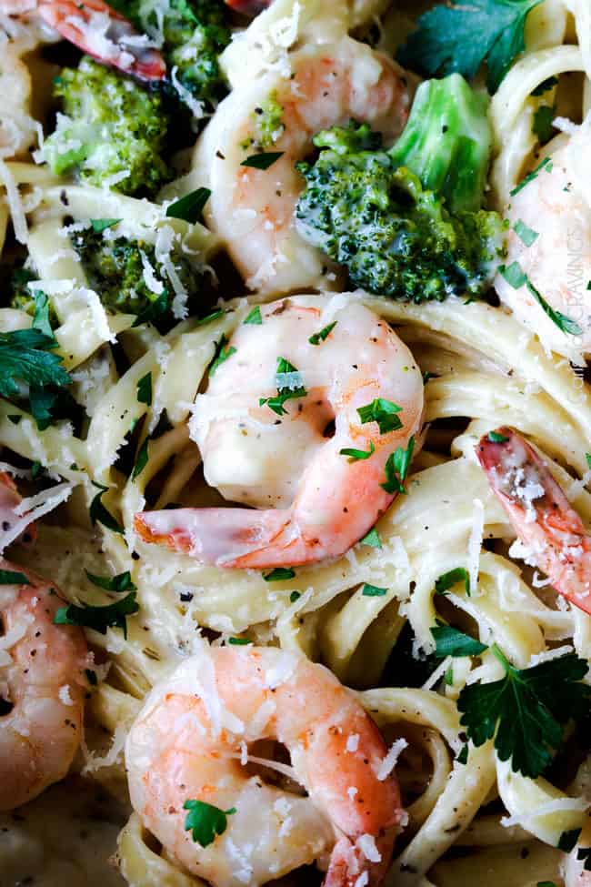 up close of healthy Shrimp Alfredo Recipe with broccoli
