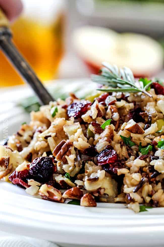 ONE POT Cranberry Apple Pecan Wild Rice PIlaf (perfect for the holidays!)