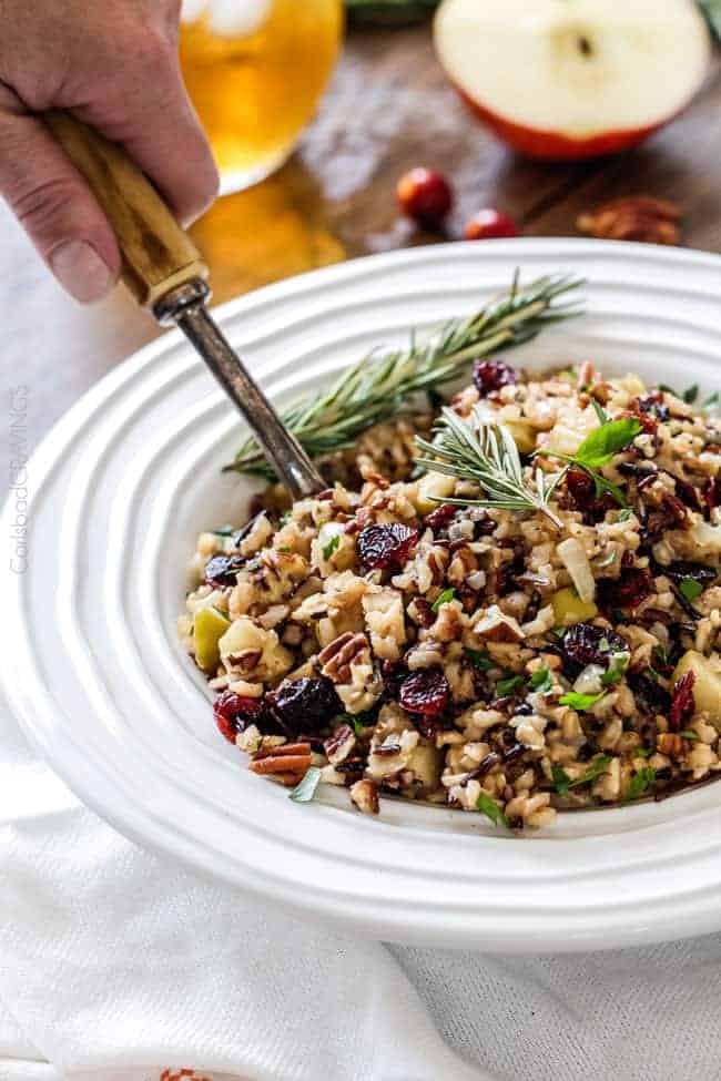 Cranberry Apple Pecan Wild Rice Pilaf