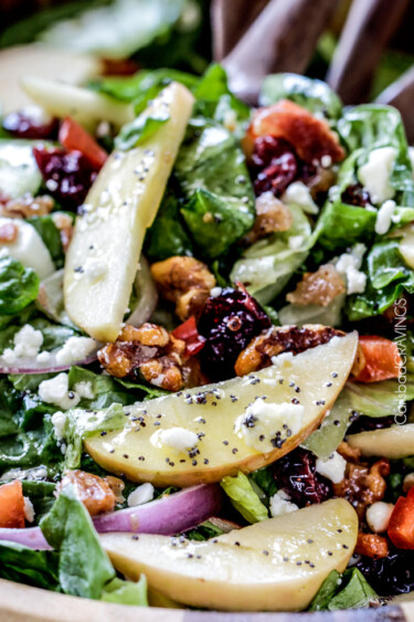 Apple Cranberry Walnut Salad - Carlsbad Cravings