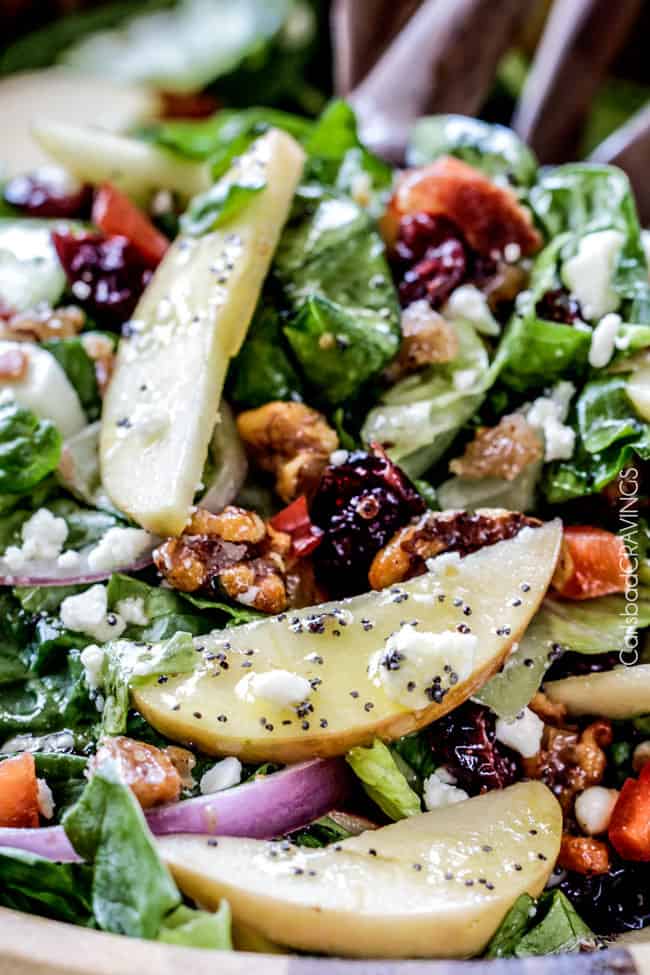 Apple Cranberry Bacon Candied Walnut Salad with Apple Poppy Seed Vinaigrette belongs on your table this Thanksgiving and all Autumn long! The perfect STRESS FREE make ahead side!