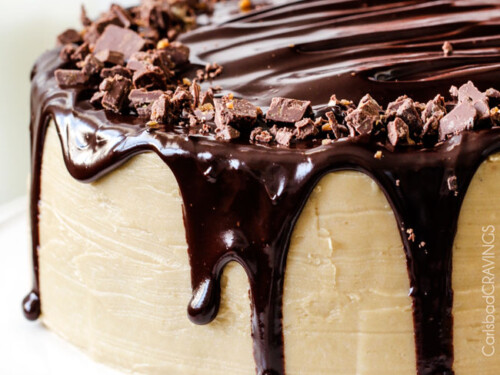 Chocolate Sour Milk Cake – NancyC