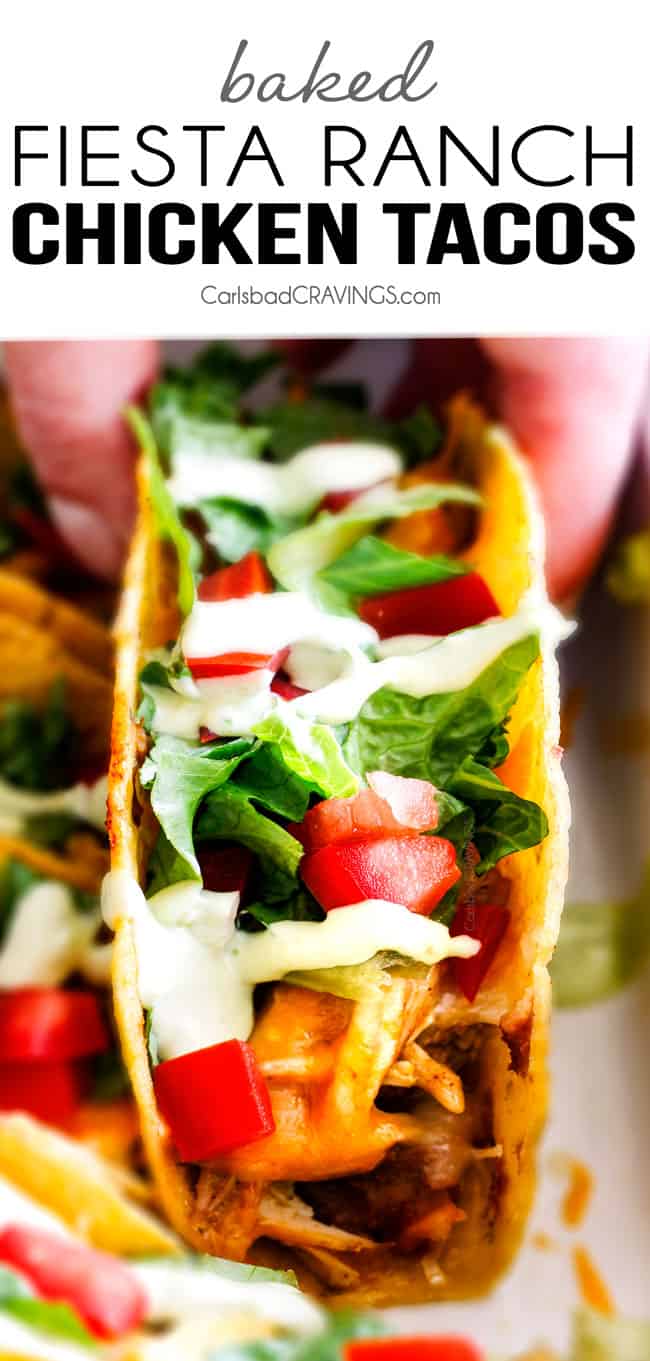 Fiesta Spaghetti Tacos Recipe 