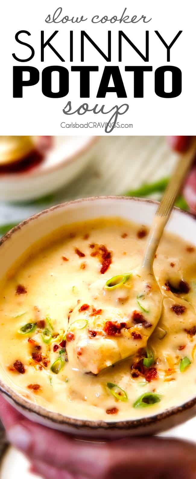 Loaded Baked Potato Soup - Recipes Worth Repeating