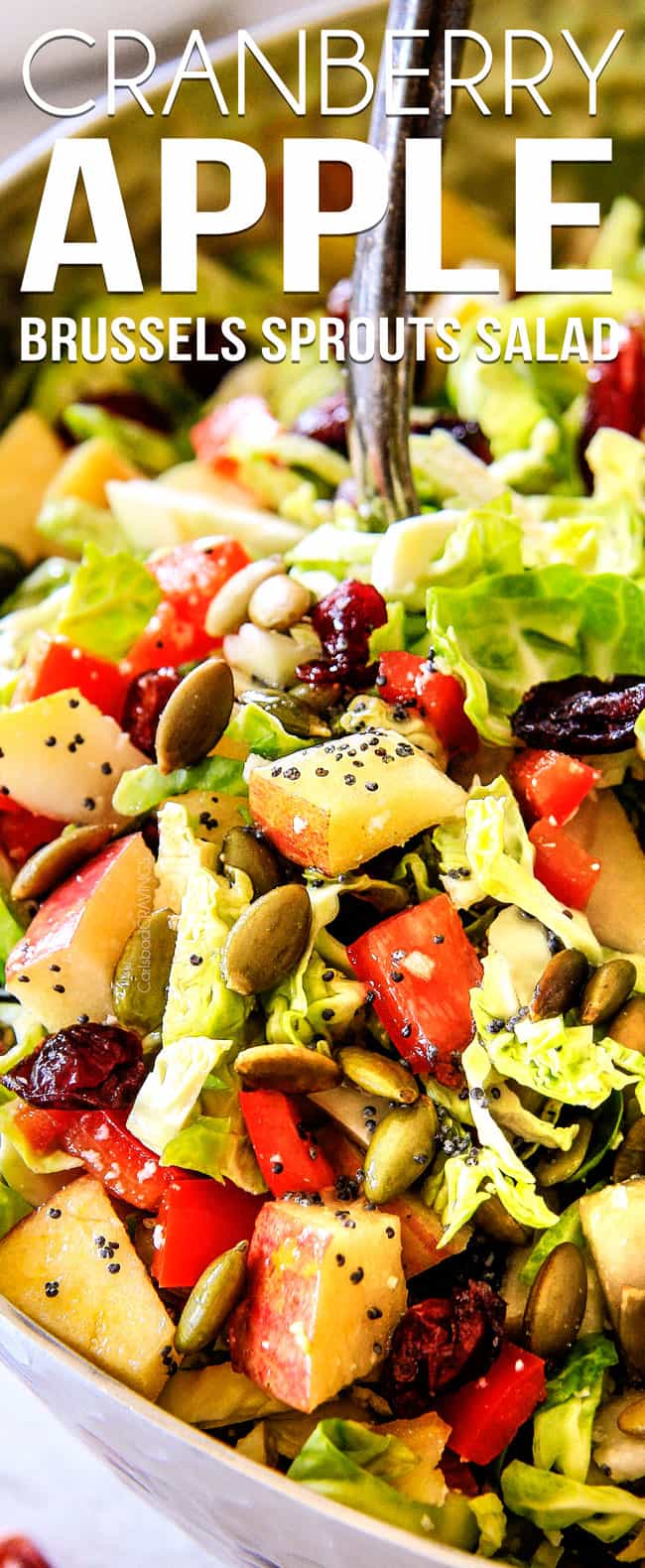 Cranberry Apple Brussels Sprouts Salad