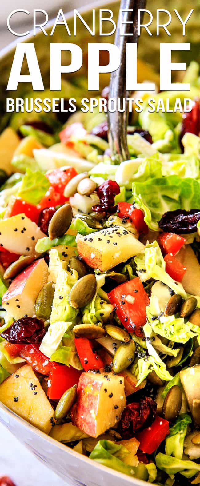 Cranberry Apple Shaved Brussels Sprouts Salad with Lemon Poppy Seed Dressing is one of my favorite salads IN THE WORLD! It belongs on your table this Thanksgiving and Christmas and all season long!  The perfect STRESS FREE make ahead side that is flavor and texture heaven!  #thanksgivingside #thanksgivingsalad