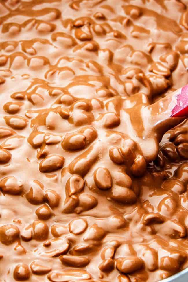 FOOL PROOF Crockpot Chocolate Peanut Clusters are not only crazy delicious but are SO easy!  They make the best make ahead, stress free gifts!  This post also includes tips and tricks to make them successful every time!