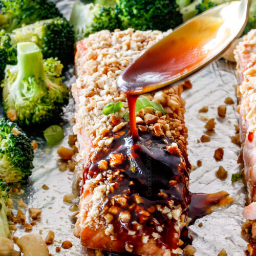 https://carlsbadcravings.com/wp-content/uploads/2018/02/cashew-crusted-salmon-12-500x500.jpg