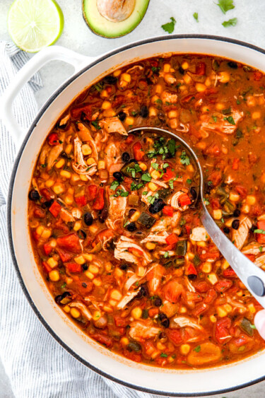 The Best Chicken Tortilla Soup Recipe - Carlsbad Cravings