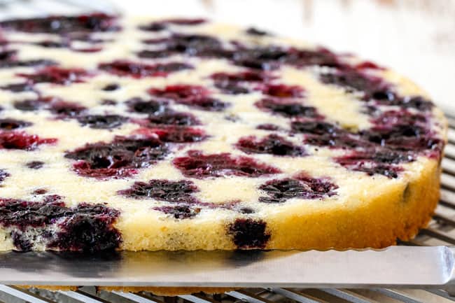 Showing how to cut Lemon Blueberry Cake by slicing it horizontally in half with a serrated knife