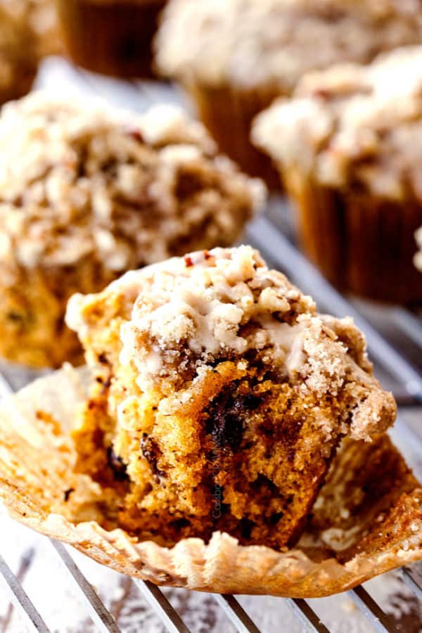 BEST Pumpkin Muffins with Chocolate Chips and optiona Pecan Streusel