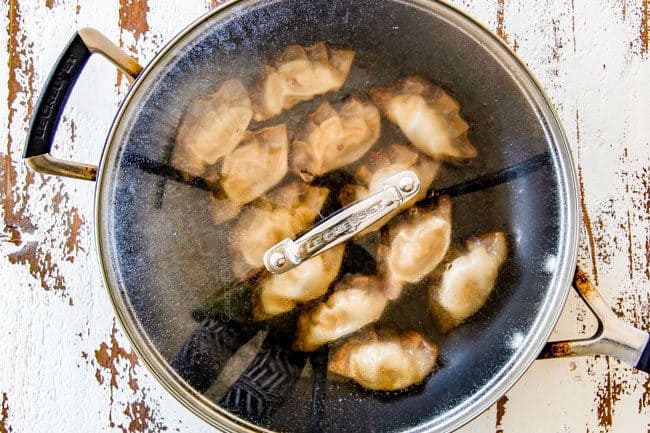 showing how to cook potstickers by covering skillet with a lid and steaming
