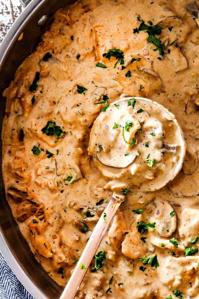 up close top view of healthy Chicken Stroganoff in a large sauce pan with a serving spoon garnished with parsley