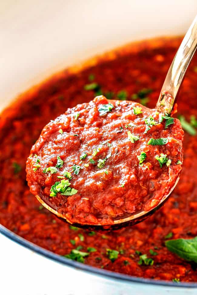 a spoonful of hearty marinara sauce garnished with parsley