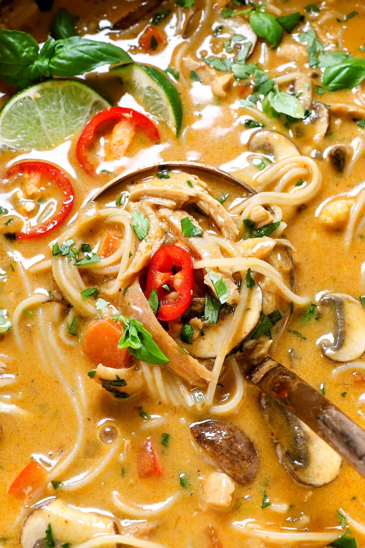 up close of a ladle with Thai chicken noodle soup 