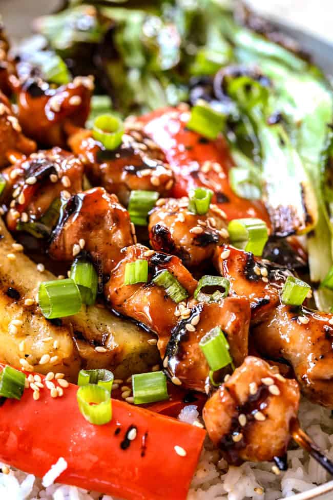 the BEST YAKITORI (baking, grilling, freeziing instructions)