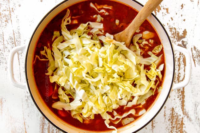 showing how to make Cabbage Soup by adding cabbage to soup