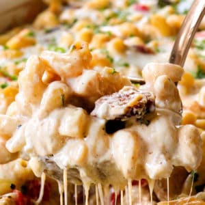 Cajun Chicken Alfredo