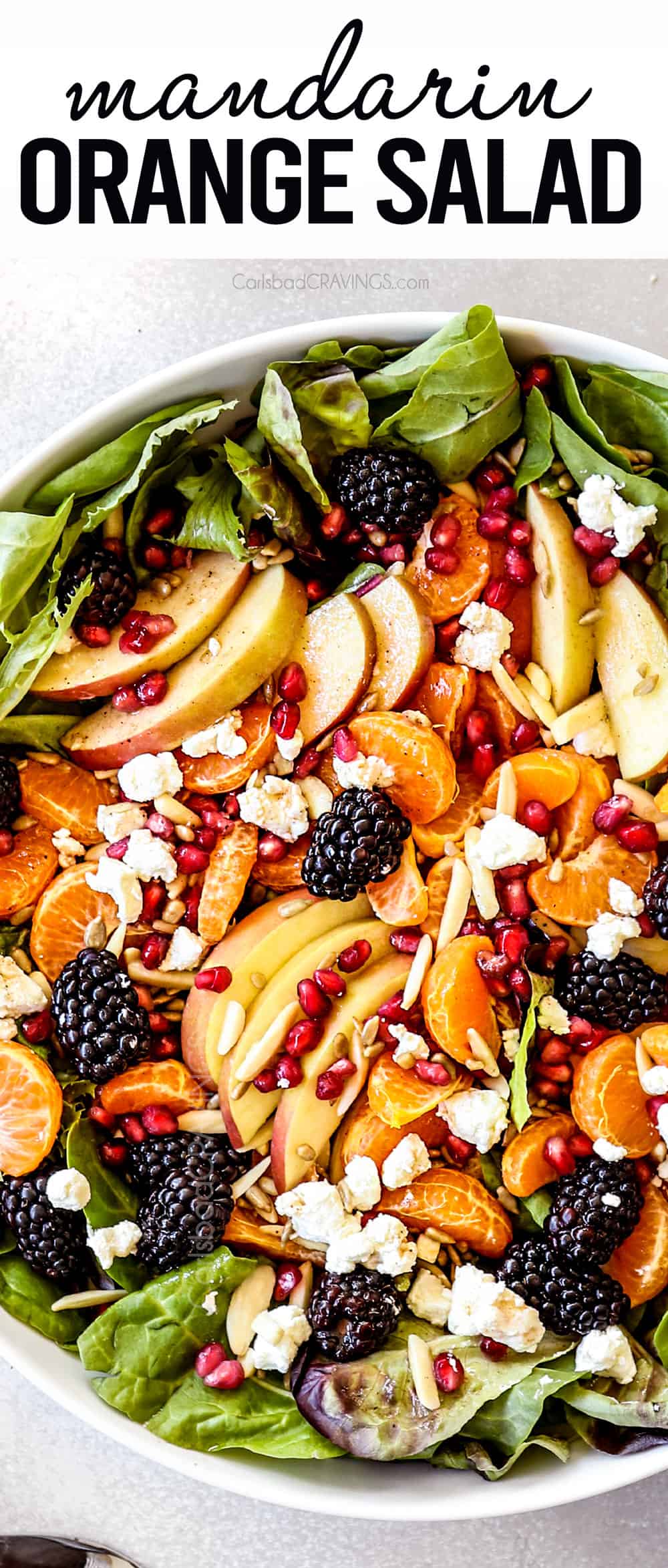 top view of Mandarin Orange Salad with mandarins, apples and blackberries in a white bowl