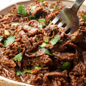 a fork serving Mexican Beef shredded in a bowl
