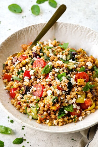 Greek Couscous Salad with the BEST Dressing!