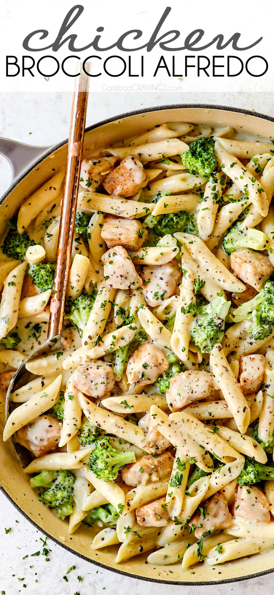 Chicken Broccoli Alfredo - Carlsbad Cravings