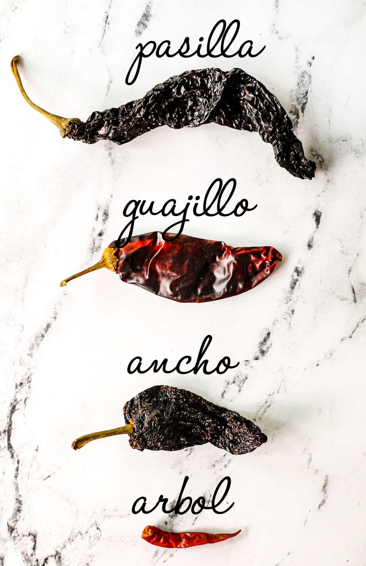 showing how to make mole sauce with a chart of the different dried chilies used in the recipe  - pasilla chilies, guajillo chilies, ancho chilies and chilies de arbol