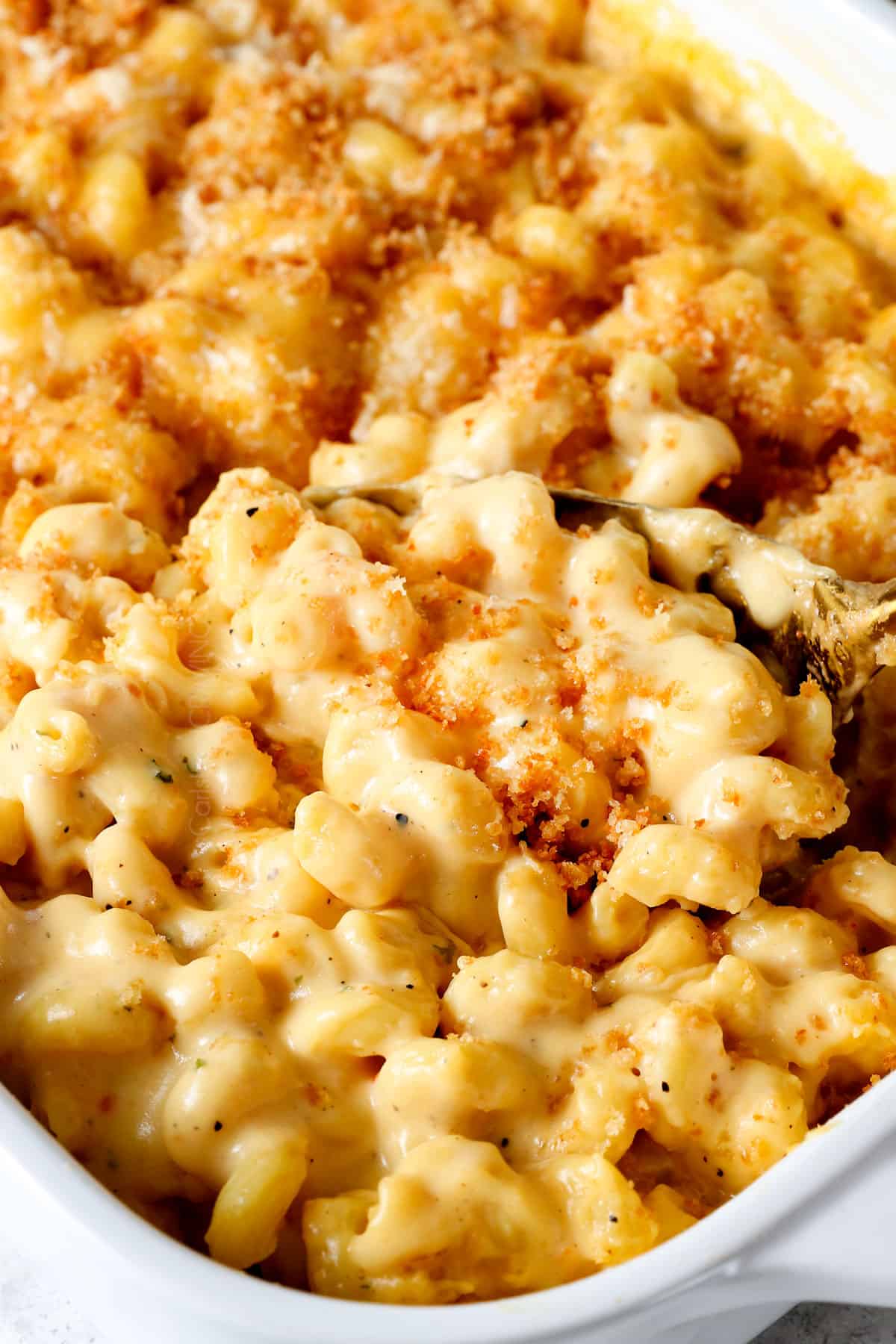 up close of best macaroni and cheese recipe showing how rich and creamy it is