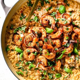 showing how to make shrimp risotto by adding shrimp to top of risotto