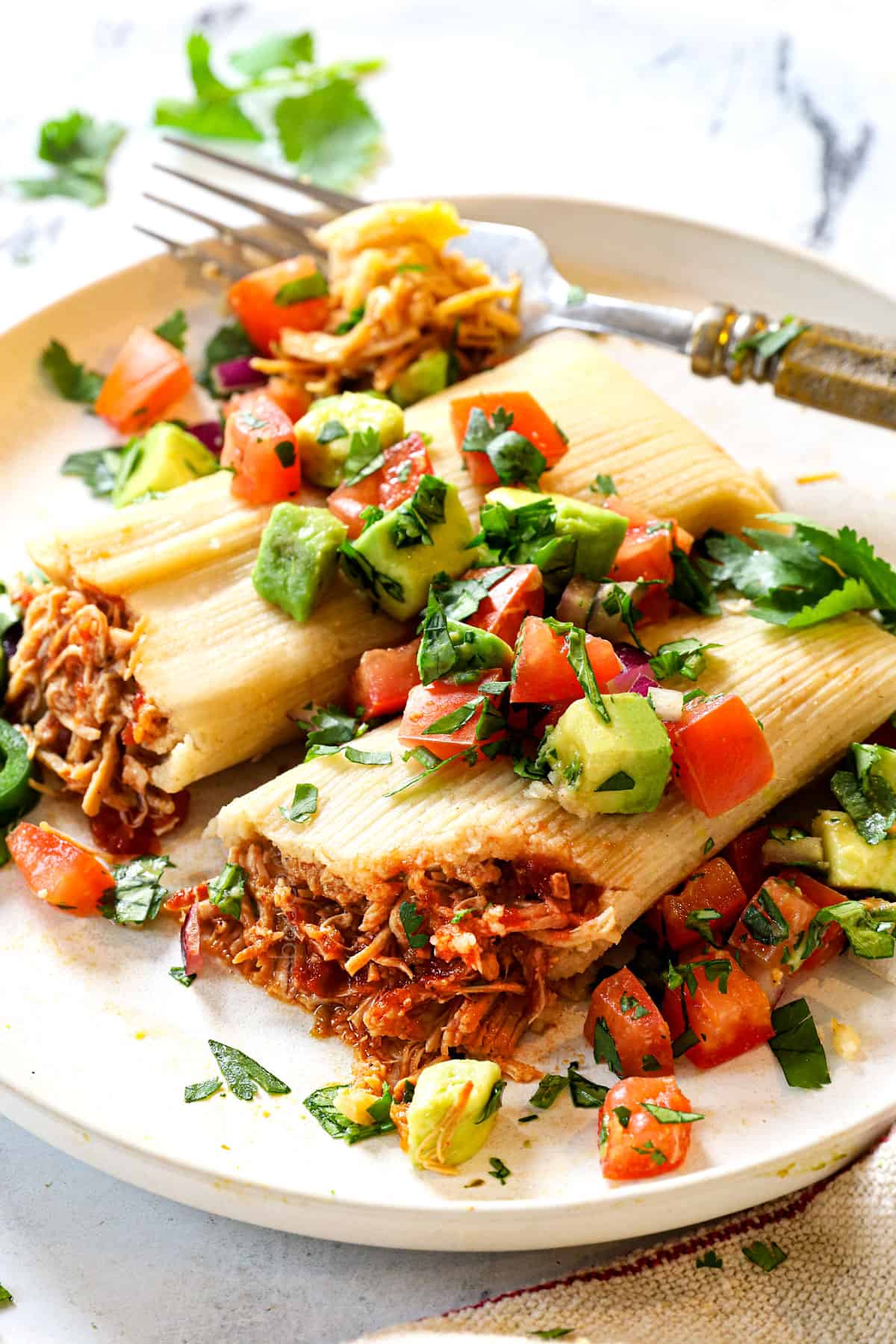 a plate of Mexican tamales with chicken served with salsa