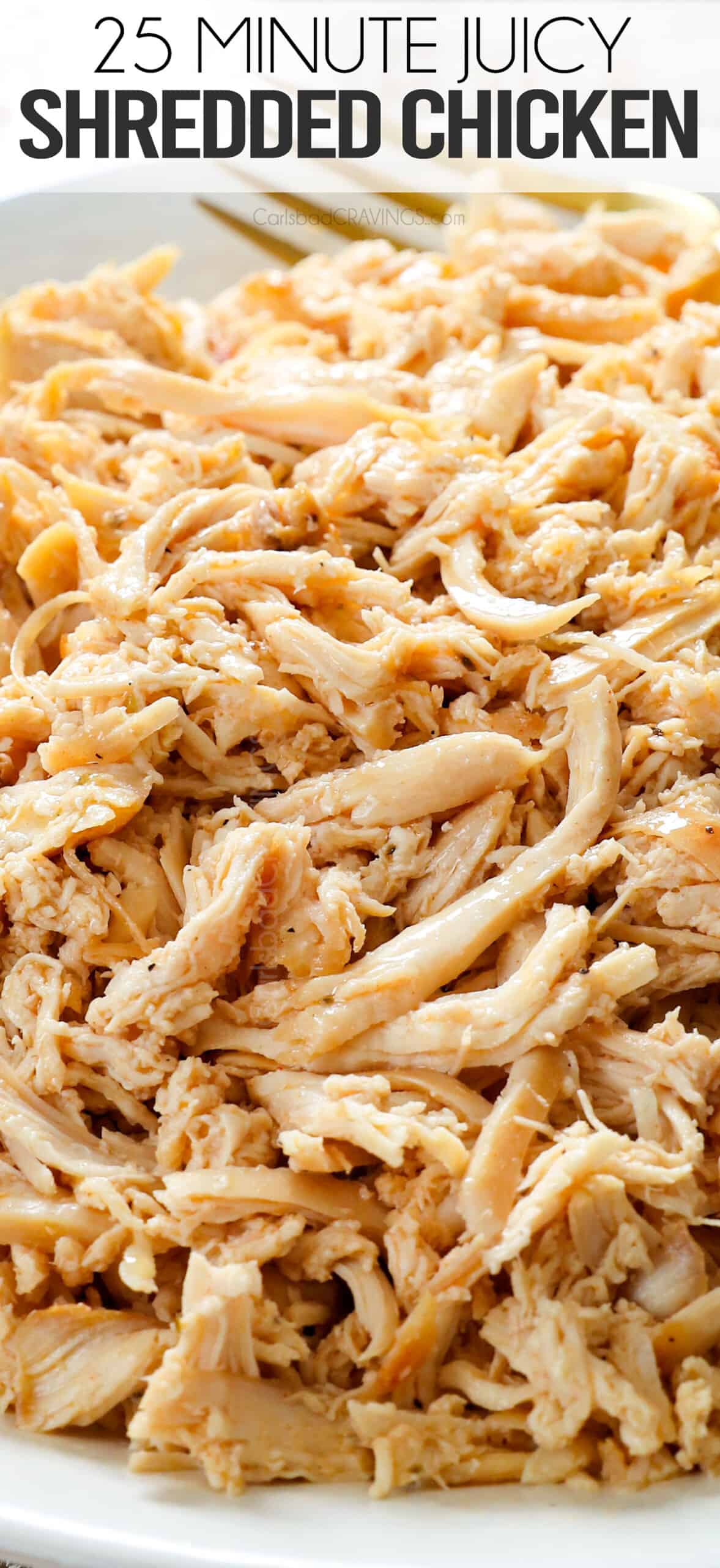 up close of juicy shredded chicken recipe on a plate
