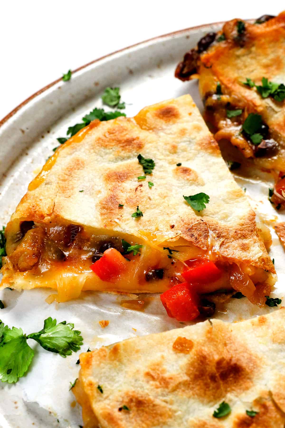 up close of easy chicken quesadilla recipe showing the cheesy chicken filling oozing out the sides 