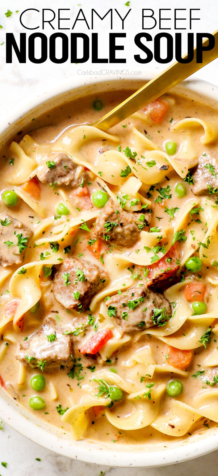 Beef Noodle Soup - Carlsbad Cravings