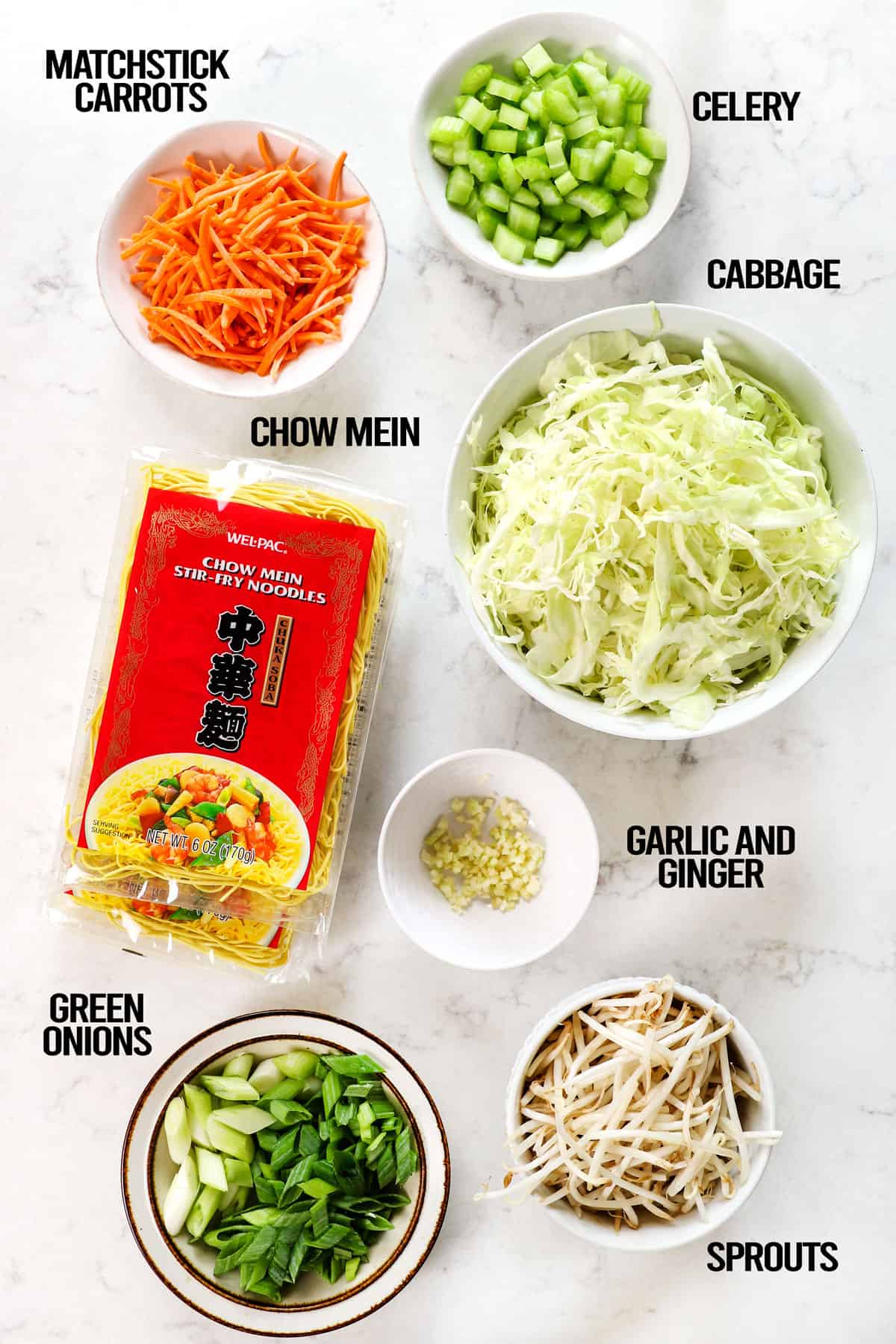 Showing ingredients for chow mein labeled: chow mein noodles, cabbage, carrots, green onions, sprouts, garlic ginger 