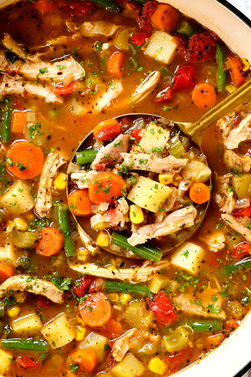 The Best Chicken Vegetable Soup Recipe - Carlsbad Cravings