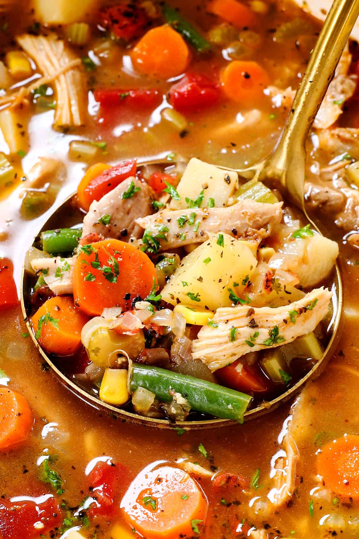 up close of a ladle of chicken and vegetable soup showing the vegetables