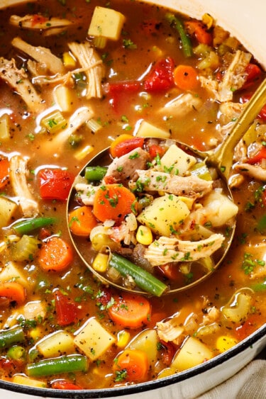 The Best Chicken Vegetable Soup Recipe - Carlsbad Cravings