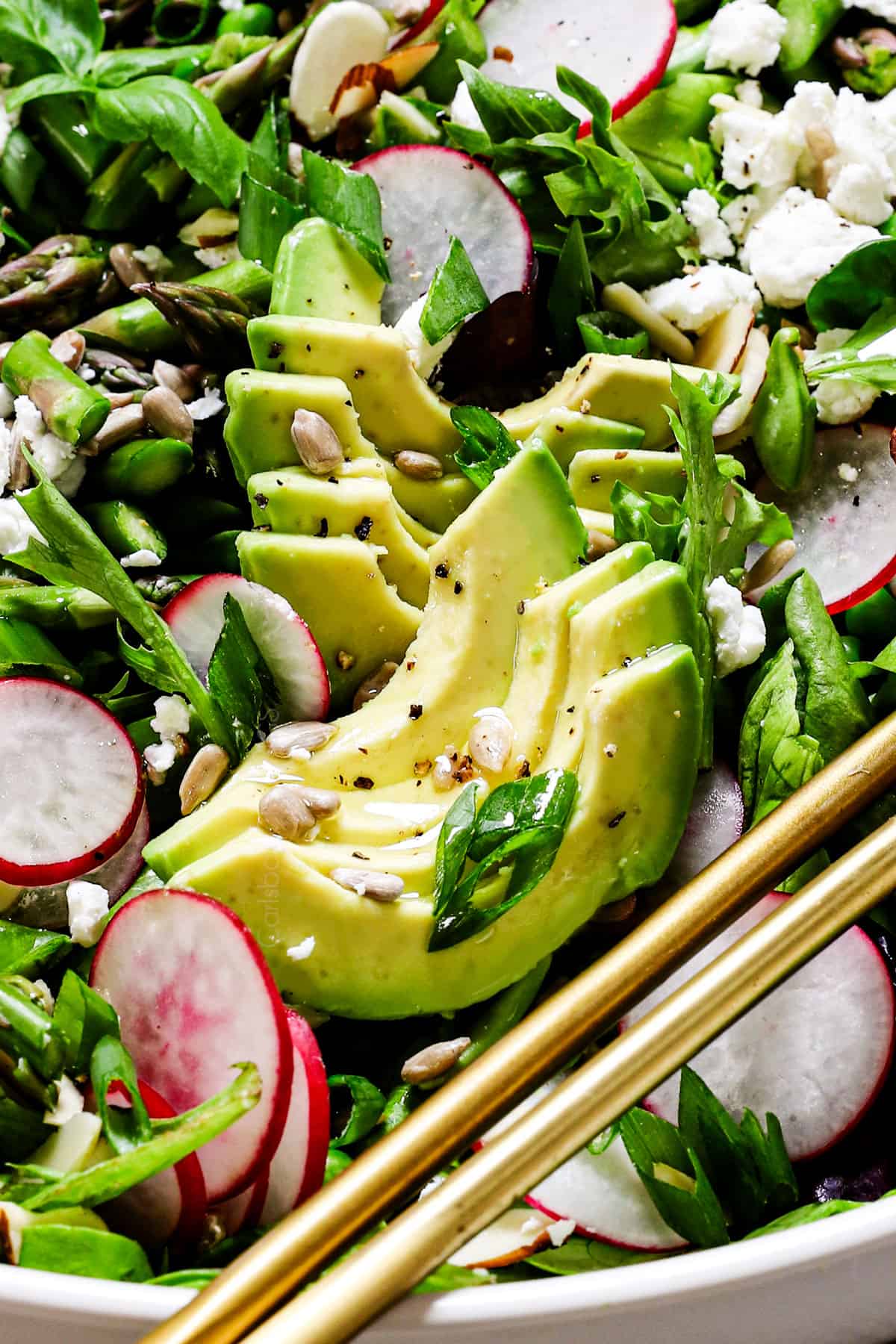 up close of avocados in spring green salad 