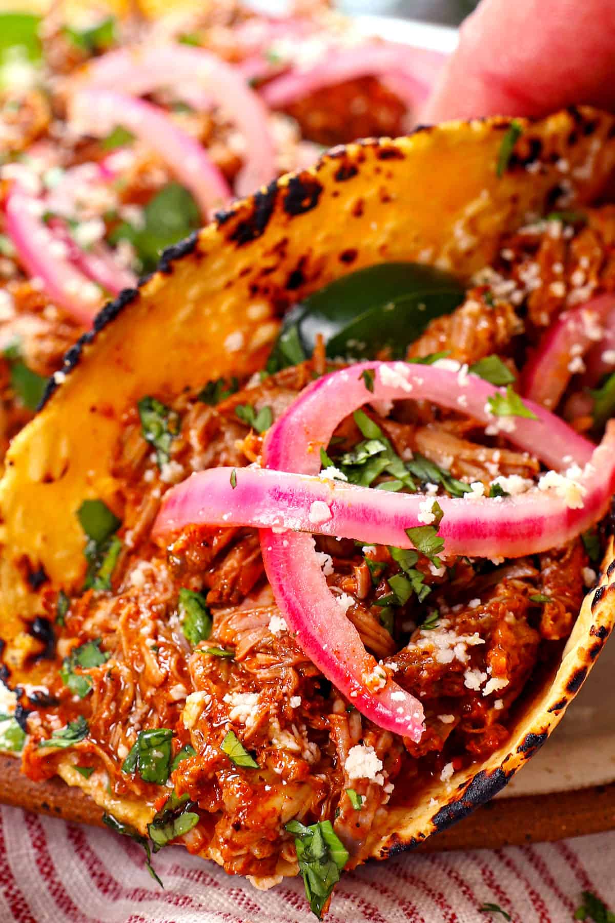 up close of cochinita pibil in tacos showing how juicy the meat is