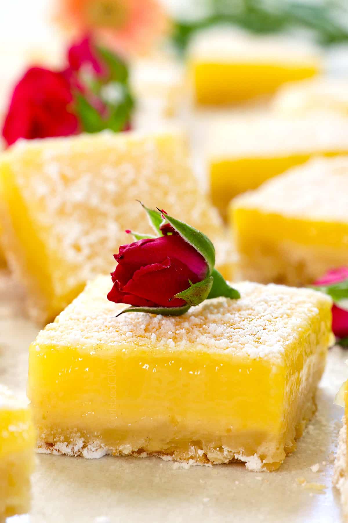 up close of a lemon bar showing how thick the filling is