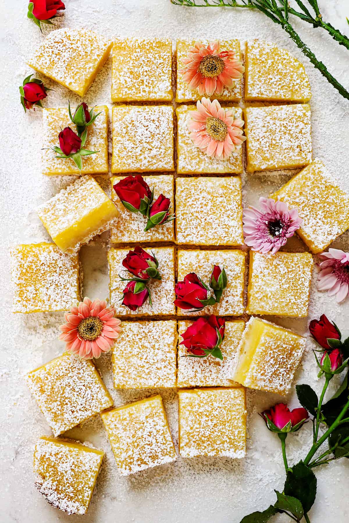 top view of recipe for lemon bars cut into squares