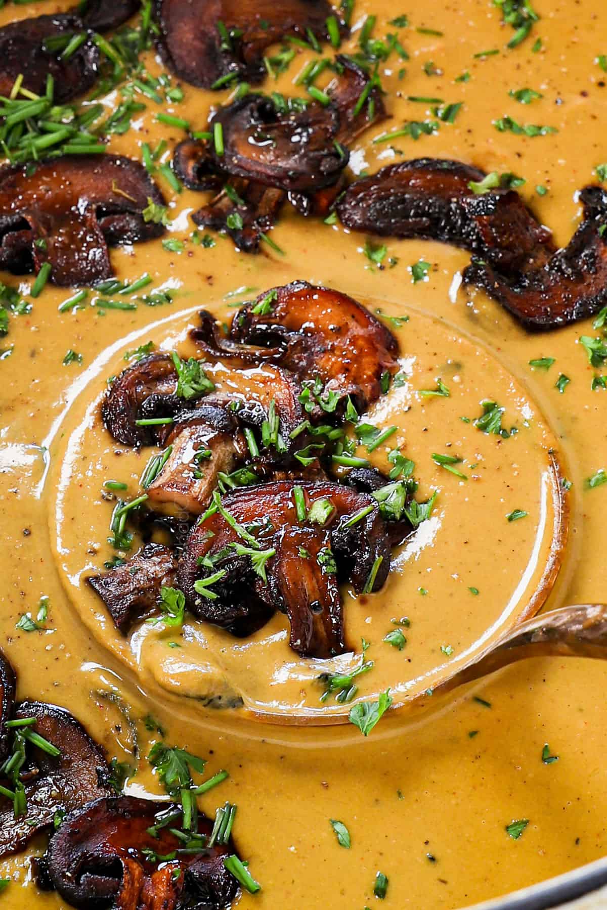 up close of simple mushroom soup recipe showing the thick texture