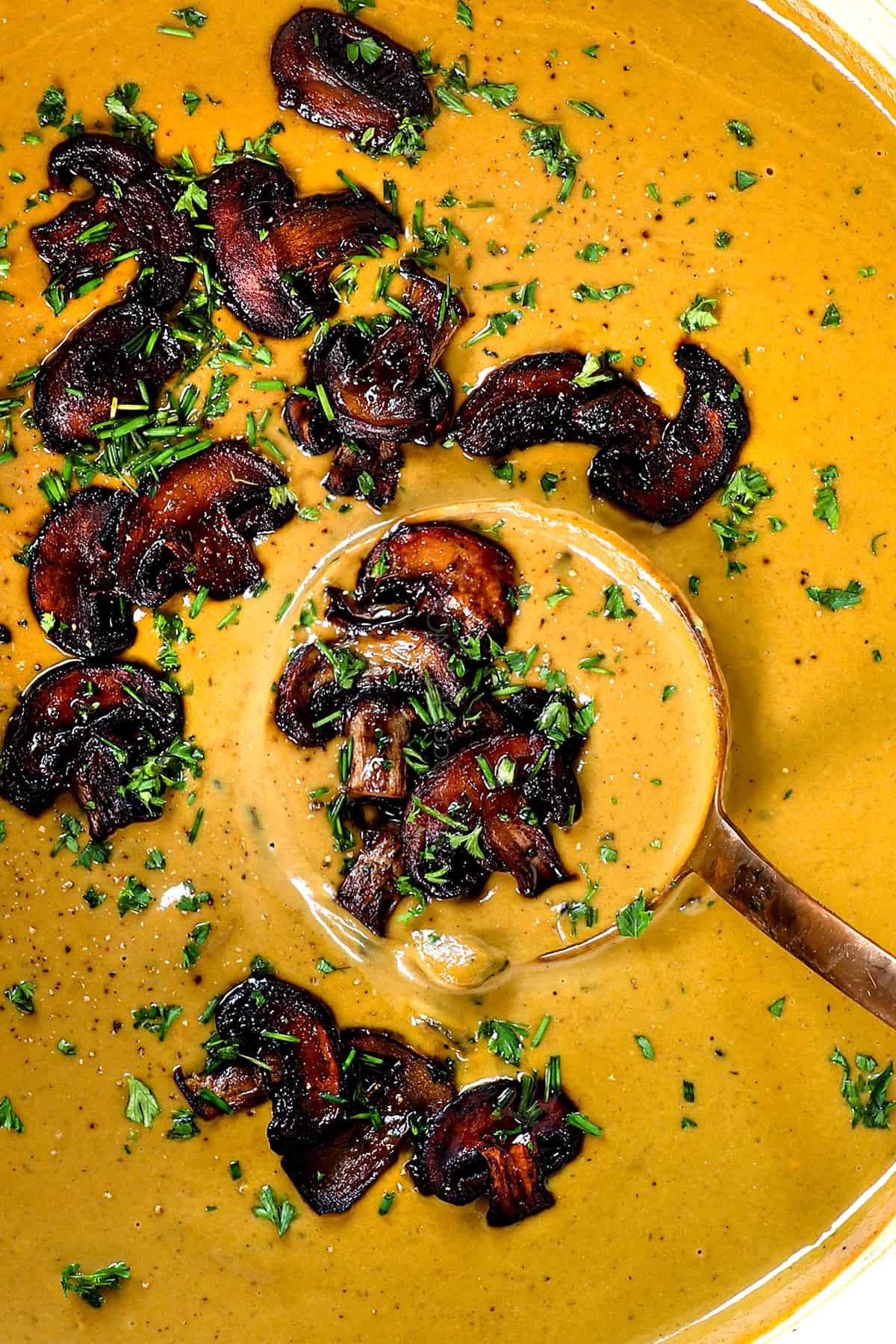 up close of a ladle of mushroom soup recipe in a pot showing how creamy it is