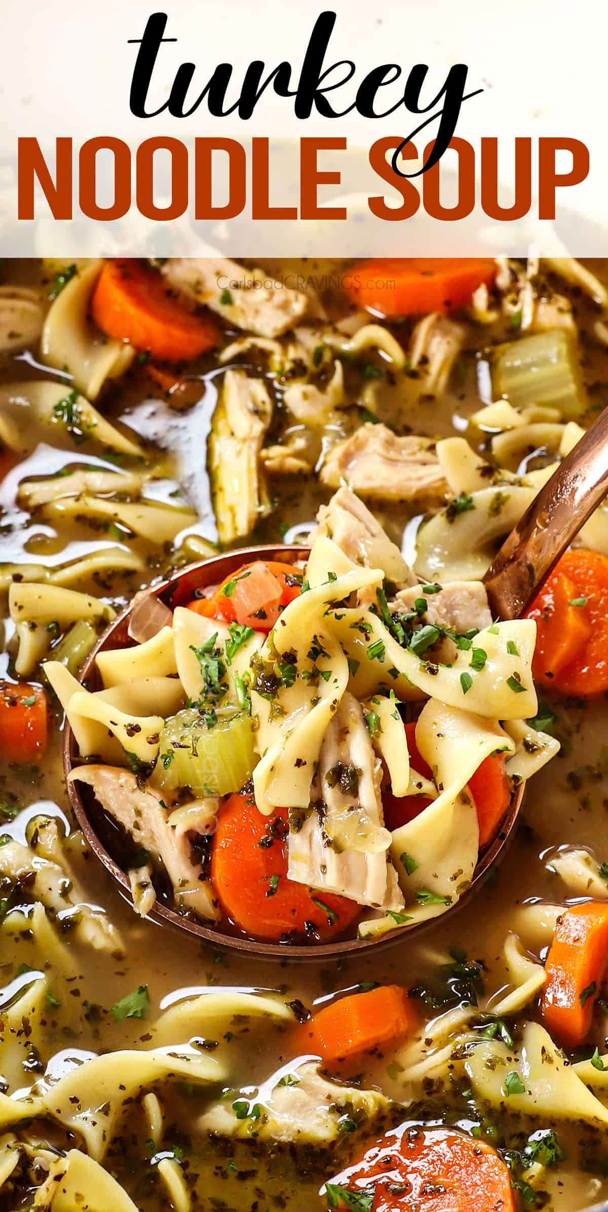 up close of a ladle of turkey soup showing the juicy turkey, noodles and vegetables 