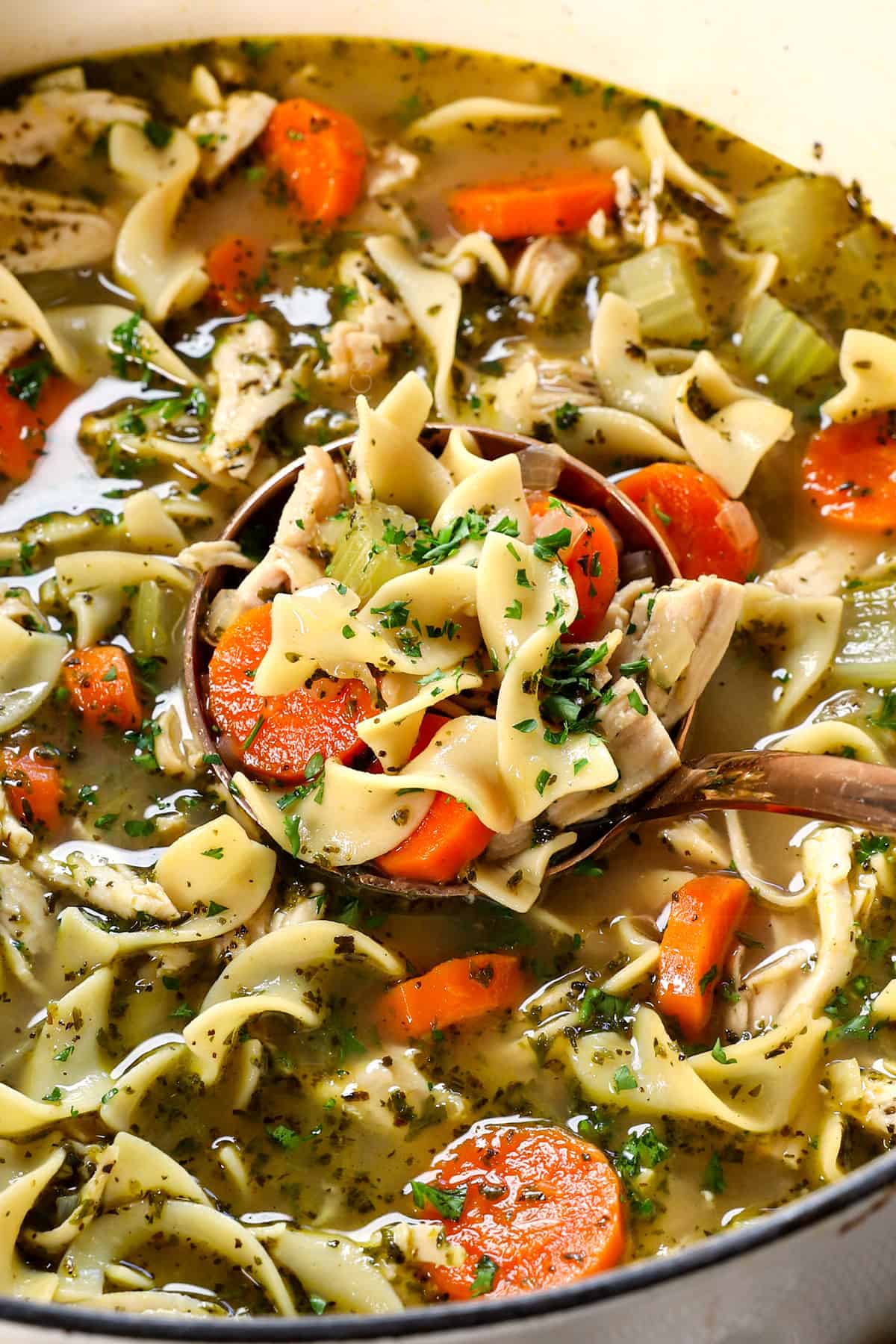 up close of turkey soup recipe showing the shredded turkey and broth