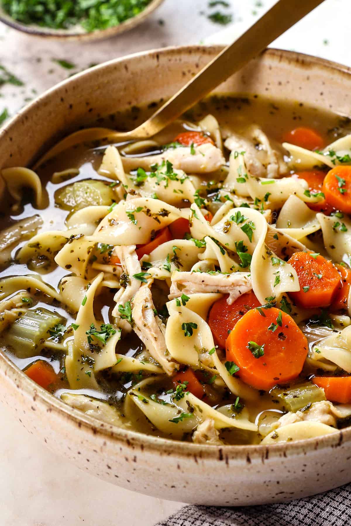 showing how to serve turkey noodle soup recipe in a bowl garnished with parsley