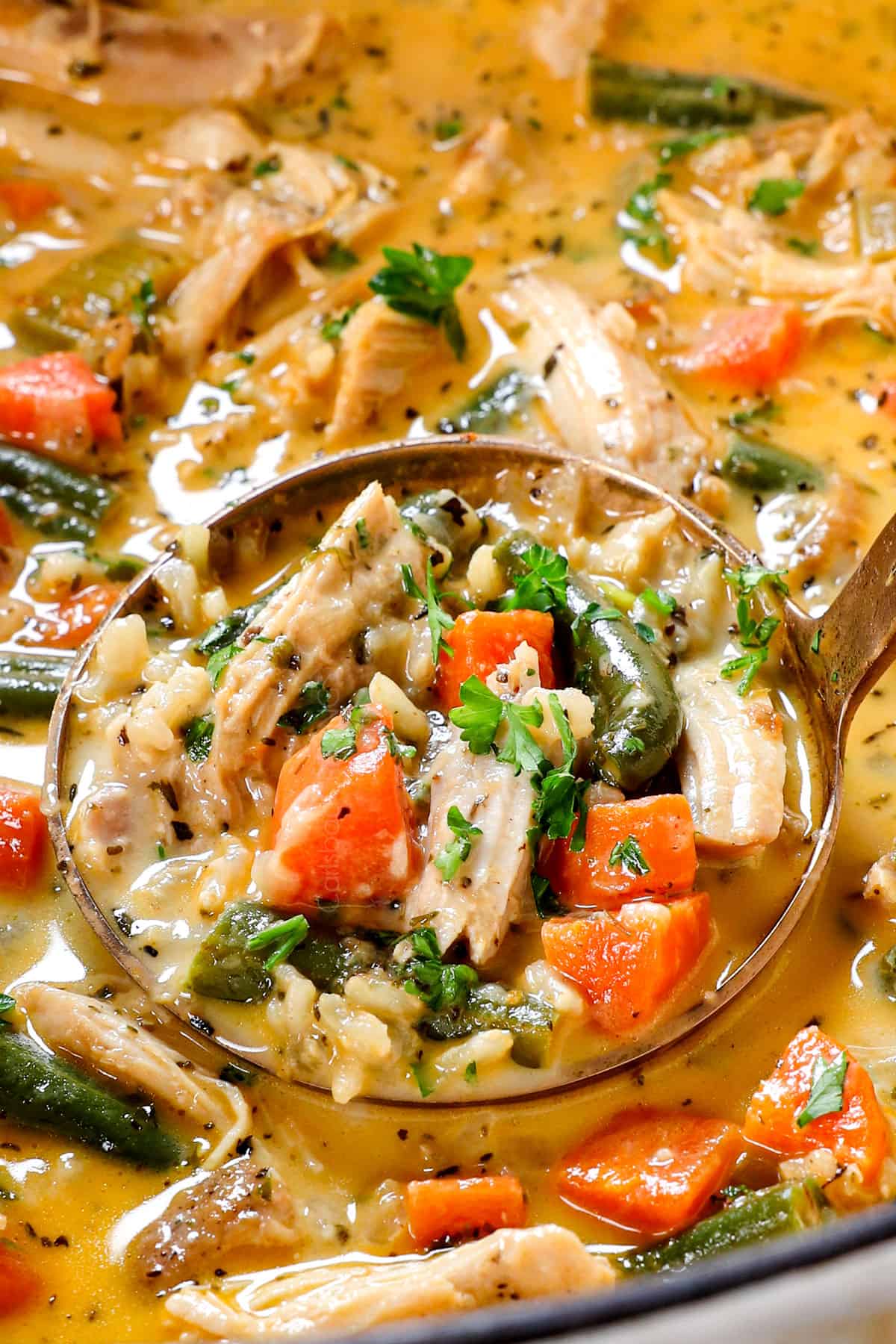 up close of taking a ladle of chicken soup with rice showing the chicken, rice, green beans and carrots