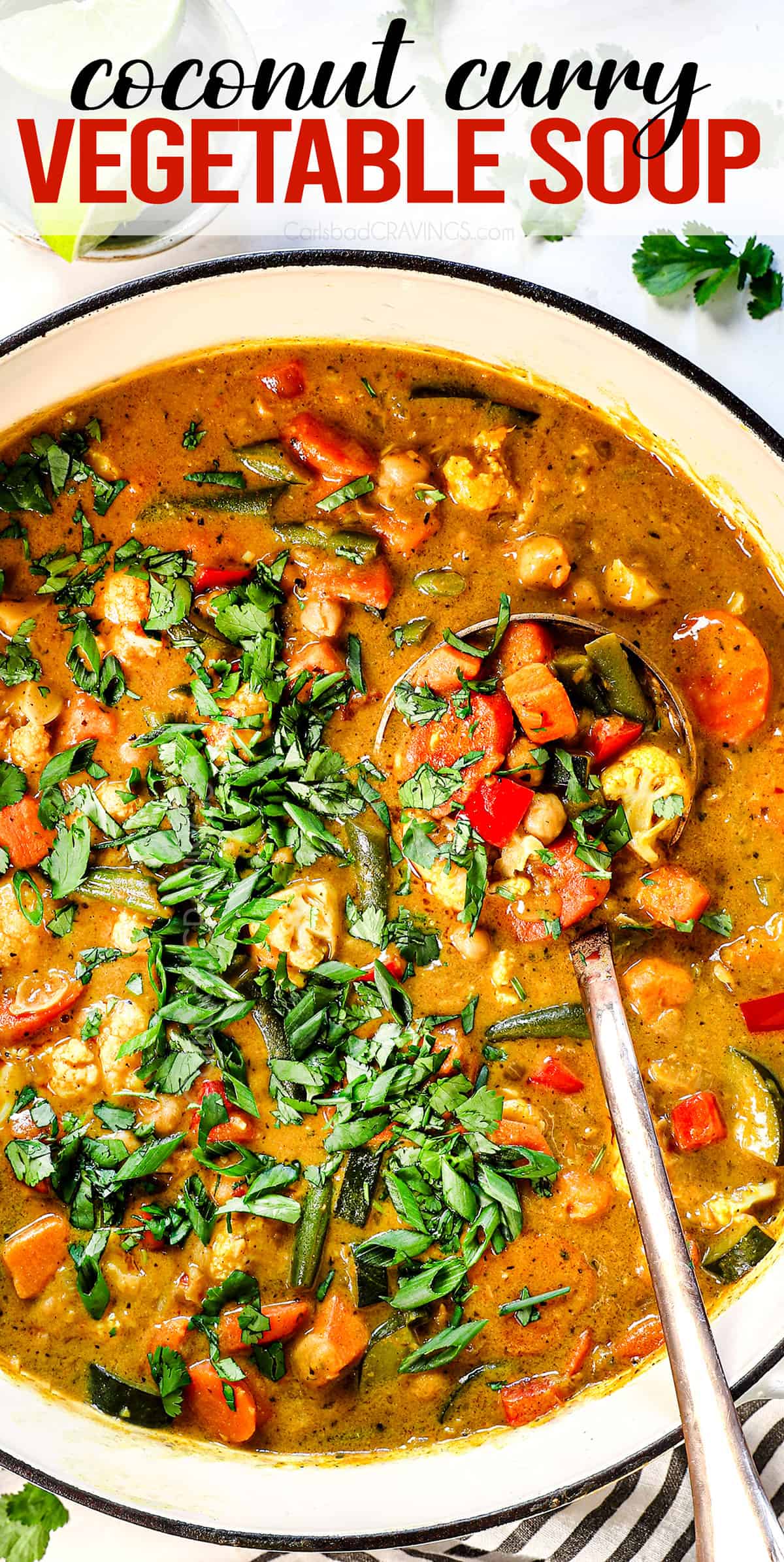 top view of vegetable soup recipe in a pot garnished with green onions and cilantro