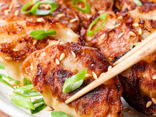 gyoza-10-500x375.jpg