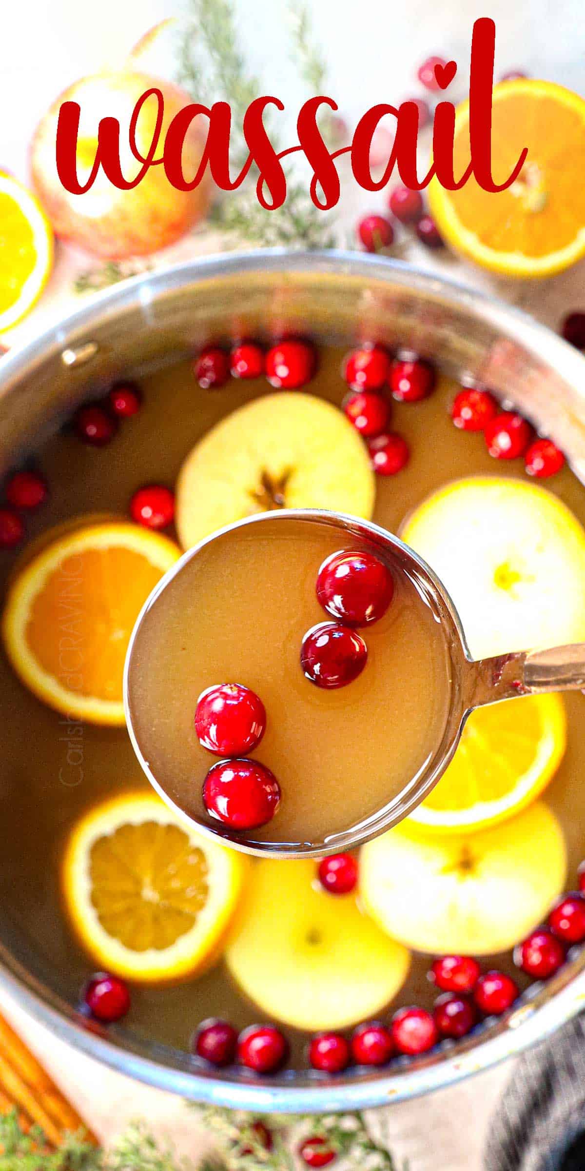 a ladle full of wassail with cranberries